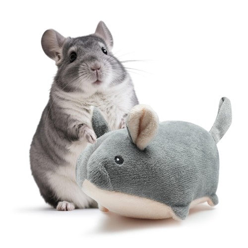 Chinchilla companion 7 inch - companion, ,